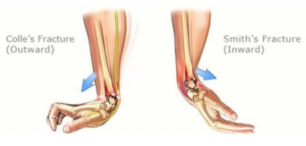 1687488303.7541755379.png 1.png